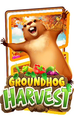 Groundhog Harvest