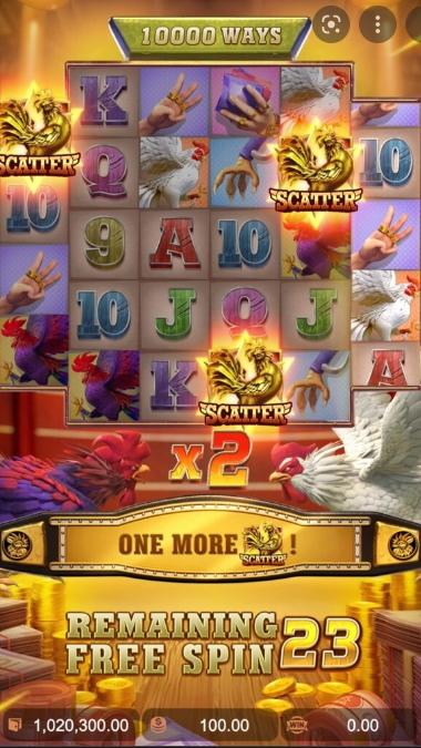 Rooster Rumble สล็อต PG pgslot-slot ทางเข้า