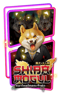 Shiba Mogul