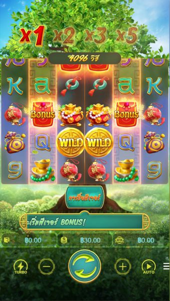 Prosperity Fortune Tree PG SLOT PG SLOT-SLOT ฝาก ถอน