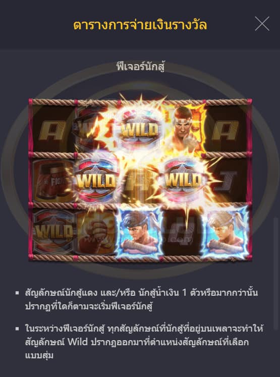 ฟีเจอร์พิเศษพิชิตโบนัสเกมสล็อต Muay Thai Champion